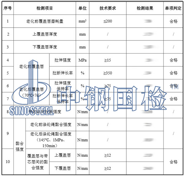 皮帶檢測項目結(jié)果